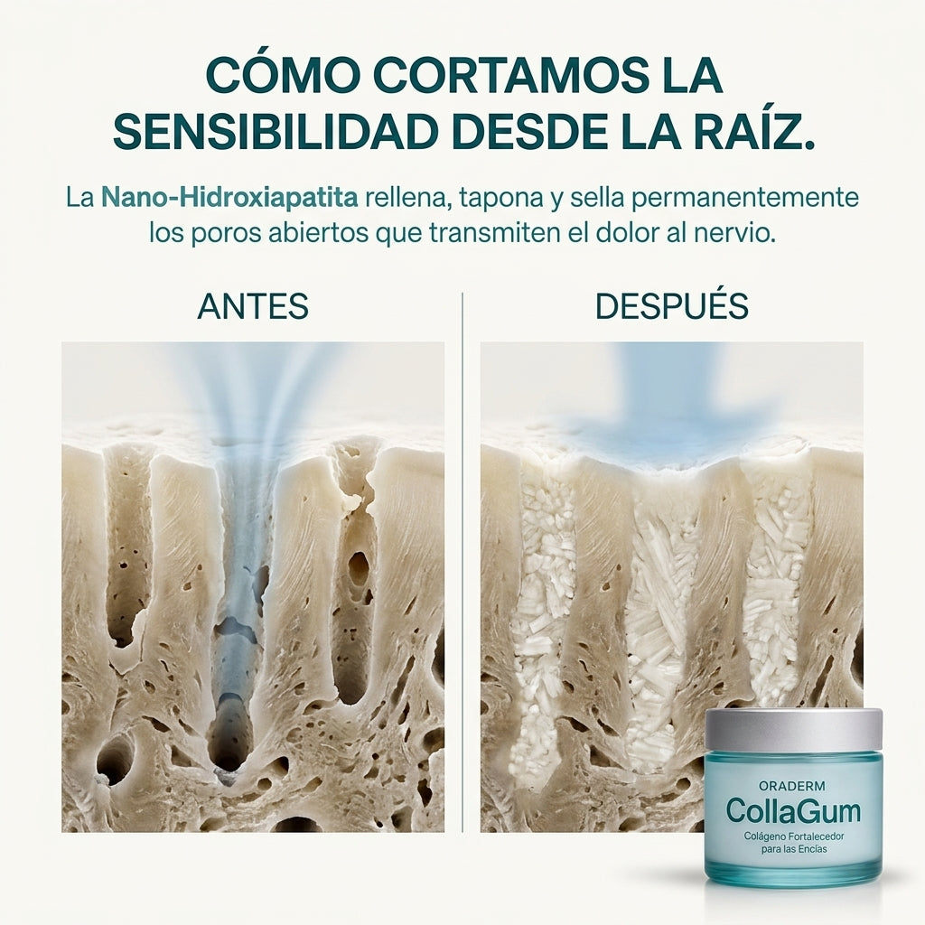 Oradem Collagum