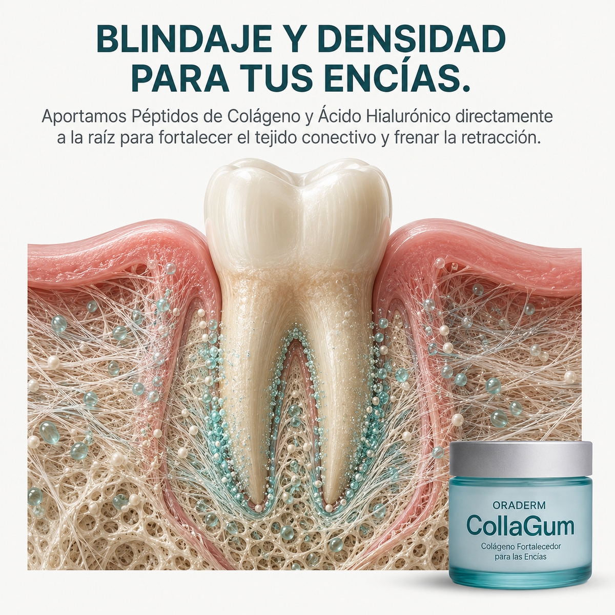 Oradem Collagum